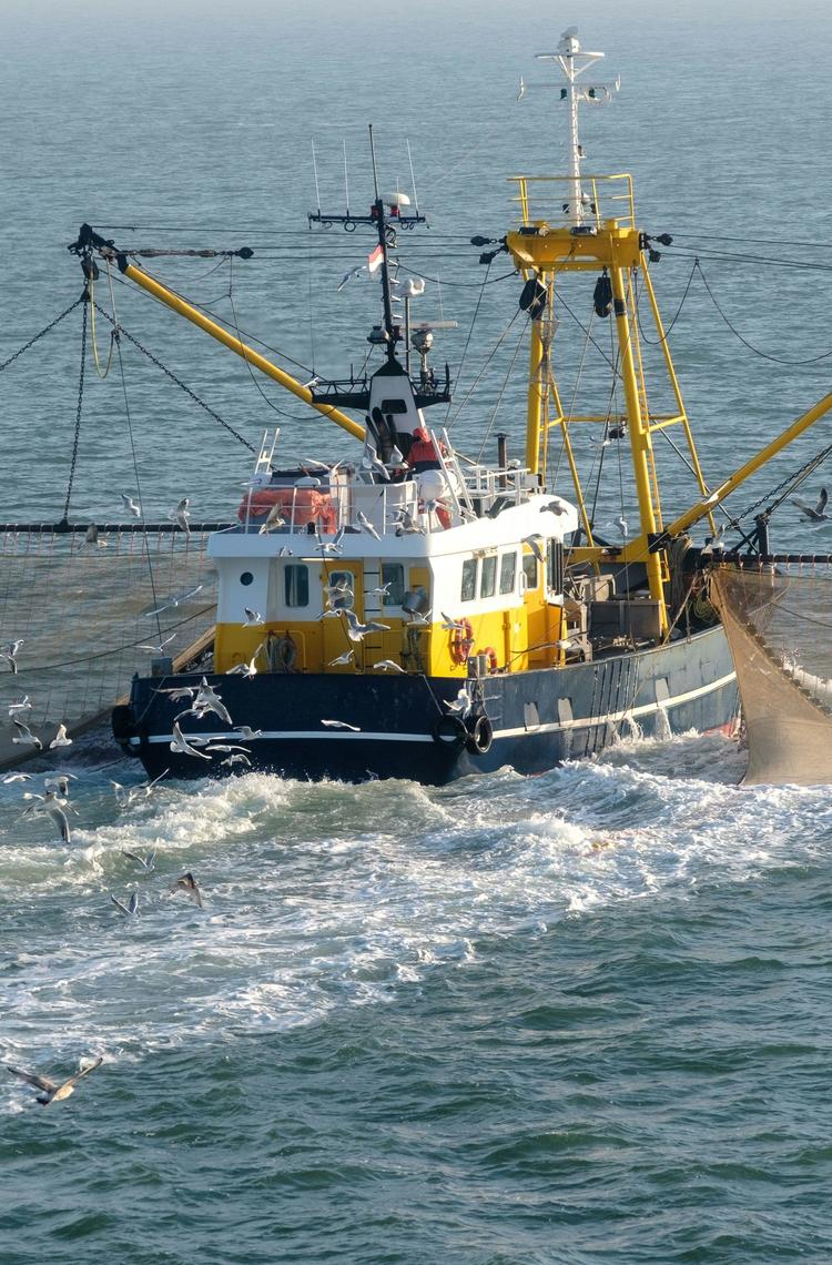 Fishing boat on sea
