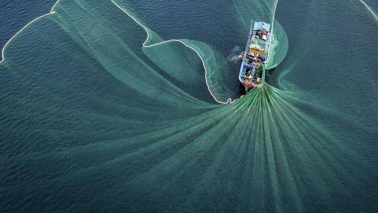 Fishing boat throwing a large net 